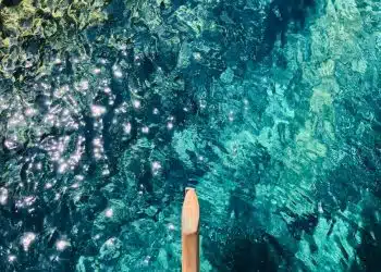 brown wooden dock on body of water during daytime