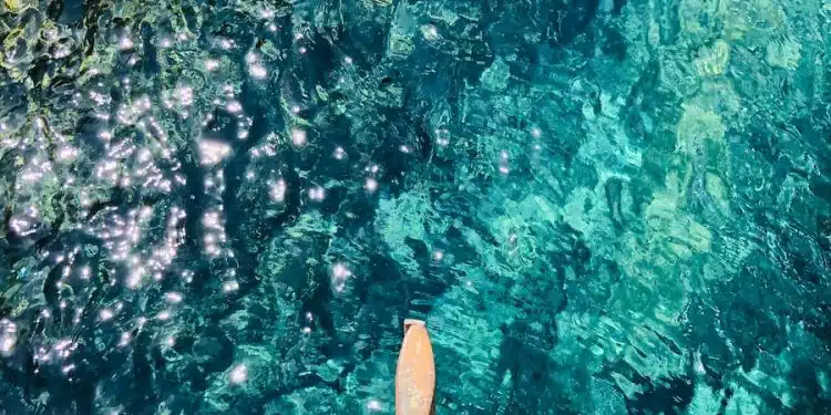 brown wooden dock on body of water during daytime