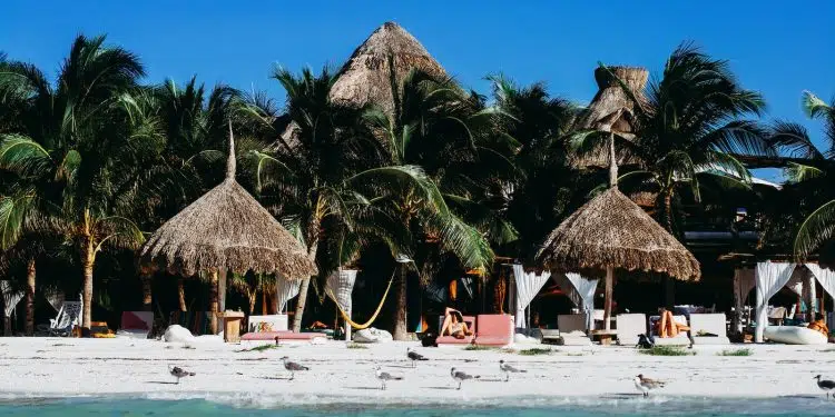 people on beach near brown nipa hut during daytime