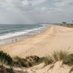 Vue panoramique d'une longue plage sauvage de la côte Atlantique en Nouvelle-Aquitaine avec dunes et pins