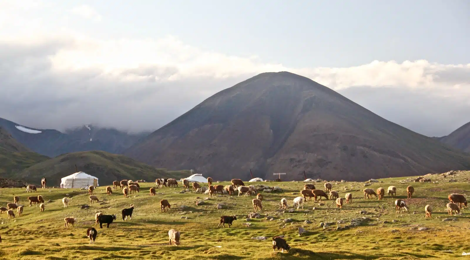 Découvrir Oulan-Bator : la capitale mongole en quelques étapes 