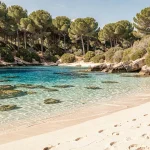 Plage sauvage et déserte de l'île de Porquerolles avec eau turquoise et sable blanc sous les pins