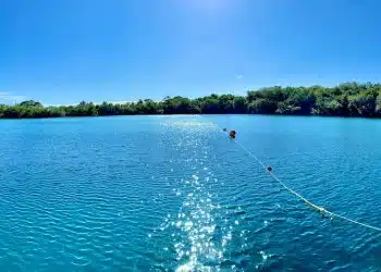 person riding on boat on sea during daytime